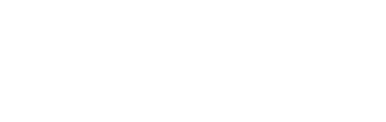 SANEG.AKTIV